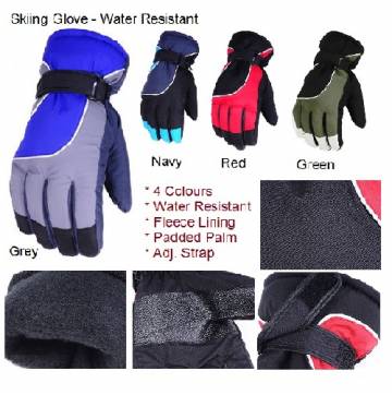 AccSafe Winter Glove